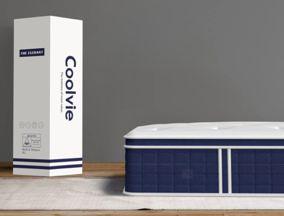 NEW MATTRESSES TRUCKLOAD EASTCOAST EAST COAST - Long Island Liquidation