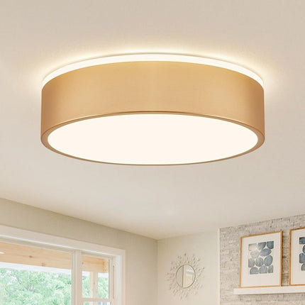 Vikaey Gold LED Ceiling Light, Modern Flush Mount Ceiling Light Fixture, Mini... - Long Island Liquidation